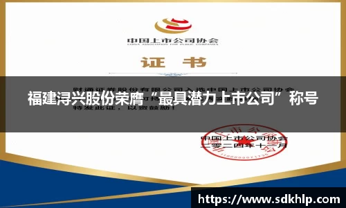 福建浔兴股份荣膺“最具潜力上市公司”称号