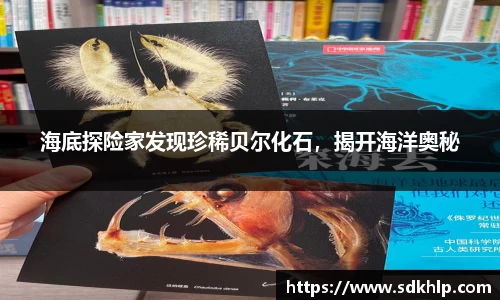 海底探险家发现珍稀贝尔化石，揭开海洋奥秘