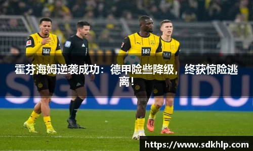 霍芬海姆逆袭成功：德甲险些降级，终获惊险逃离！